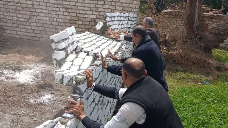 تنسيق بين الزراعة والأجهزة التنفيذية بسوهاج لحماية الأمن الغذائي المصري 
