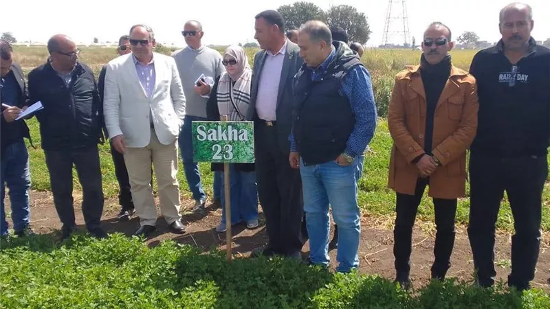 رئيس البحوث الزراعية يتابع إنتاج هجن تقاوي الطماطم والقمح بكفر الشيخ