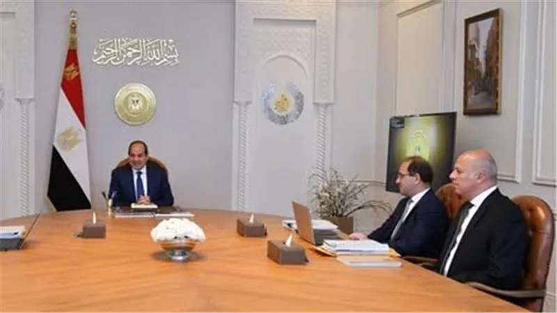 وزير المالية يعرض مقترحات زيادة الأجور على الرئيس السيسي