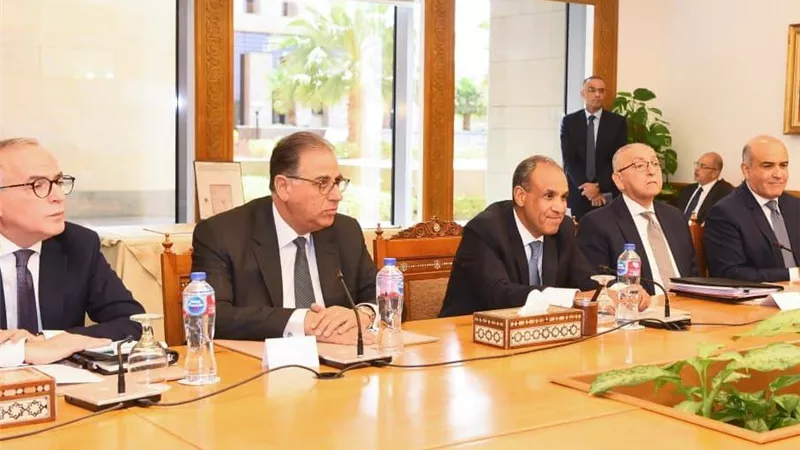 وزيرا الخارجية والاتصالات يبحثان التعاون في مجال التحول الرقمي وتطوير الخدمات القنصلية 