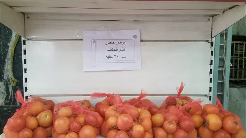 بـ20 جنيهاً للكيلو..التموين تضخ أطناناً من الطماطم والبيض في 1060 مجمعاً استهلاكياً
