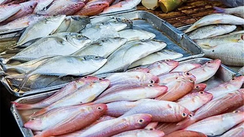 تباين أسعار الأسماك اليوم بسوق العبور.. تراجع البلطي وارتفاع المكرونة السويسي والجمبري