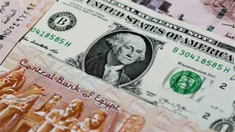 هل تواجه فاليو خطر العسر المالي؟.. تقرير يحذر من رافعة مالية مفرطة