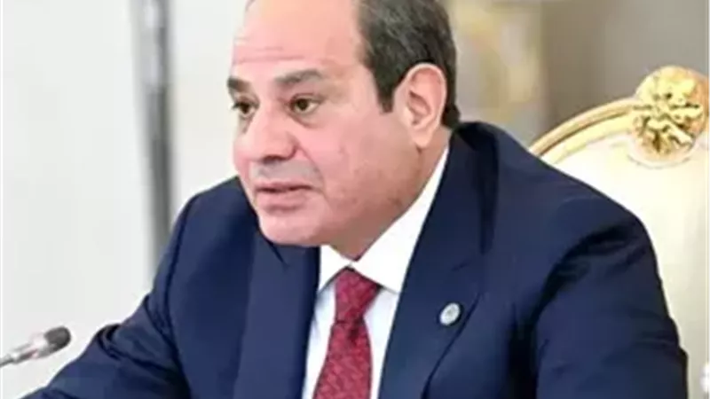 السيسي ومساعد رئيس روسيا يبحثان تعزيز التعاون الثنائي ومشروعات الشراكة الاستراتيجية