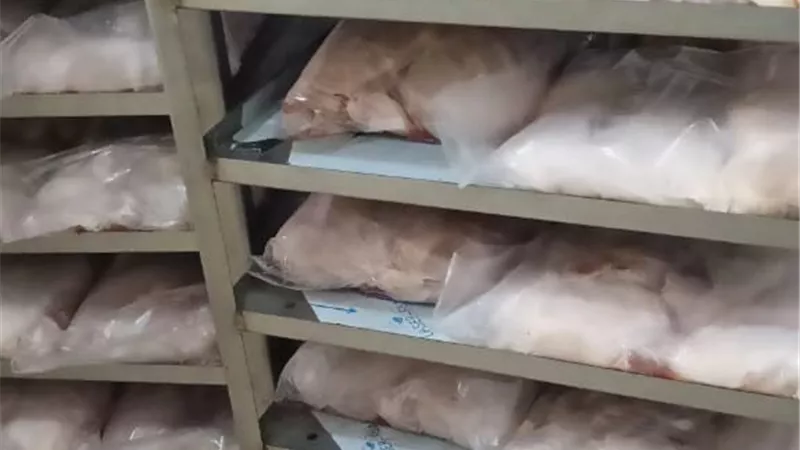 مديرية التموين بالشرقية تضبط 2 طن دواجن مجهولة المصدر بقرى المحافظة