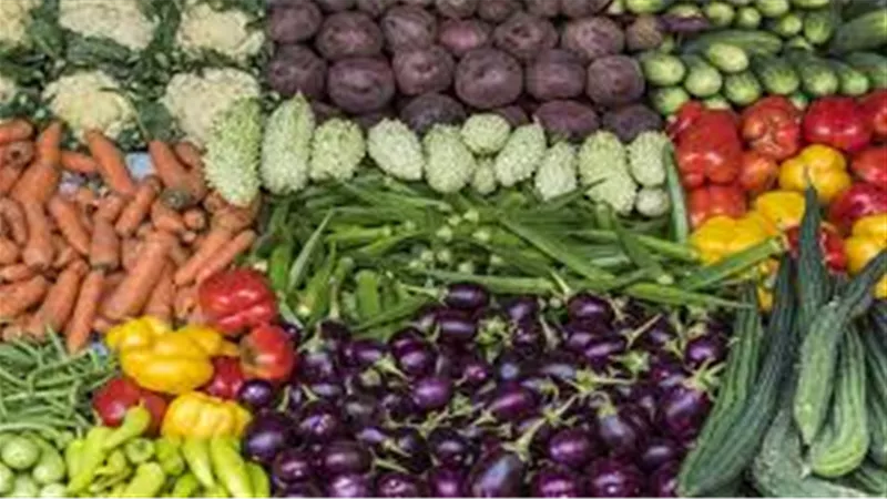 أسعار الخضروات اليوم في سوق العبور.. والطماطم بين 12 و22.5 جنيهًا