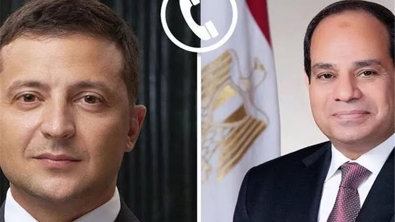 السيسي ونظيره الأوكراني يبحثان هاتفياً تهدئة التوترات الإقليمية وتطورات الحرب الروسية الأوكراني