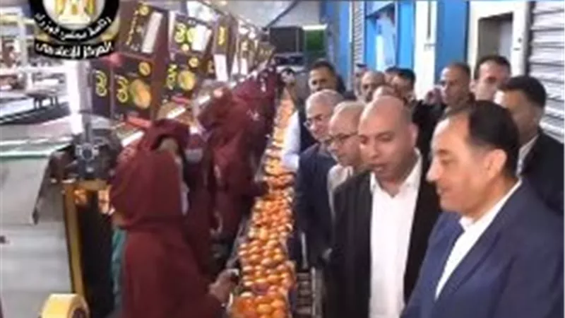 رئيس الوزراء يتفقد محطة الصواف ببنها لدعم الصادرات الزراعية وتعزيز التنافسية العالمية