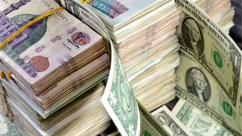 الخبير الاقتصادي: القمع المالي الناعم يقلل من قيمة مدخرات المواطنين