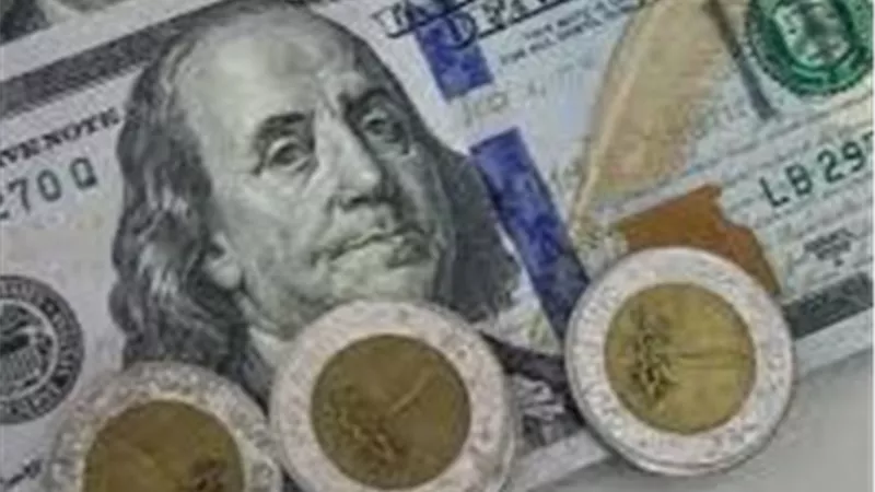 استقرار سعر صرف الدولار مقابل الجنيه المصري في البنك المركزي