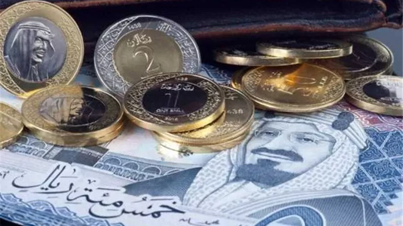 الريال السعودي يسجل 14.53 جنيه للبيع في البنك المركزي