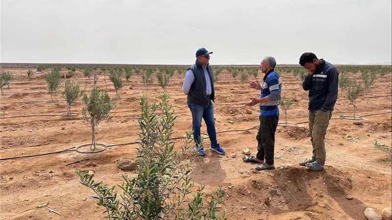 جولات ميدانية مكثفة لدعم المزارعين في شمال وجنوب سيناء
