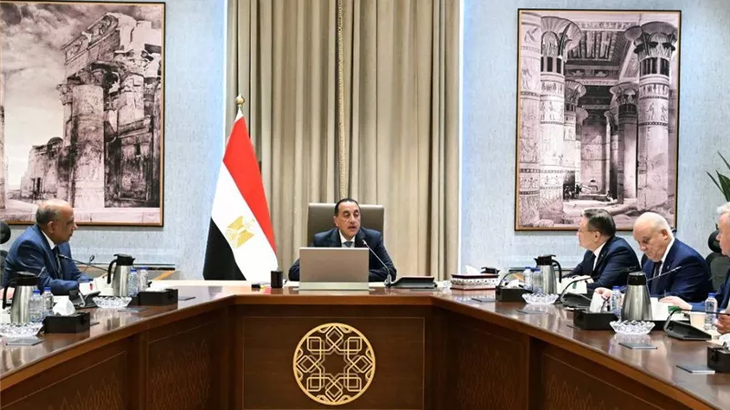 رئيس الوزراء يبحث مع المدير العام لـ