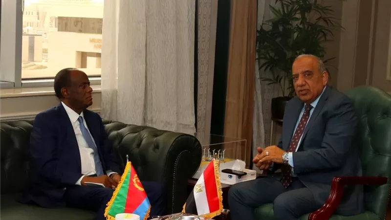 مصر واريتريا يبحثان سبل دعم وتعزيز التعاون والشراكة فى مجالات الطاقة المتجددة