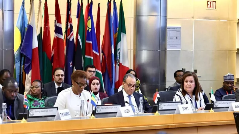 دعوة لتعزيز دور البنك الدولي في دعم استقرار الاقتصادات الإفريقية