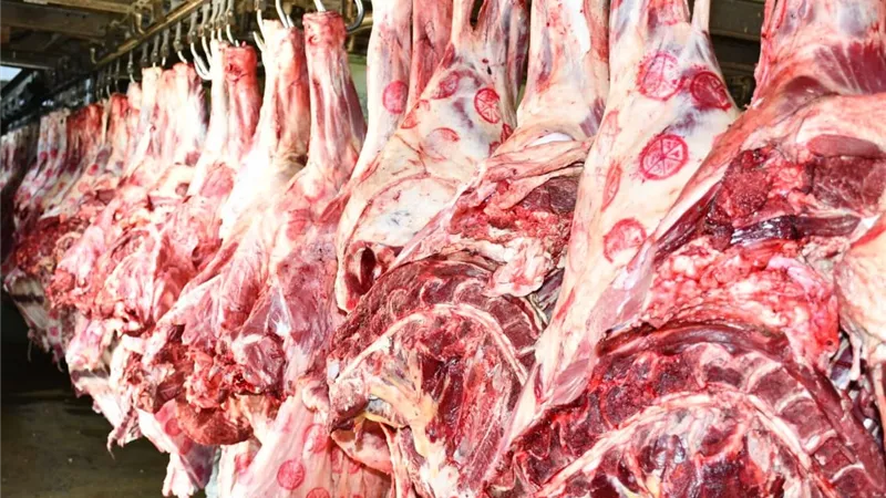 قبل عيد الأضحى.. القصابون: ارتفاع أسعار اللحوم خارج إرادة الجزار وتكاليف الأعلاف السبب الرئيسي
