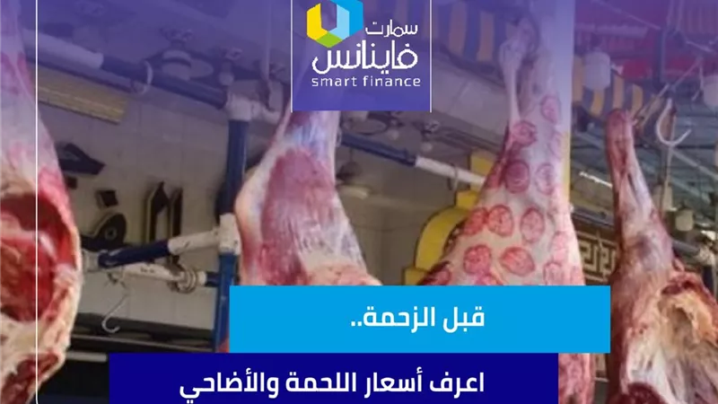 قبل الزحمة.. اعرف أسعار اللحمة والأضاحي
