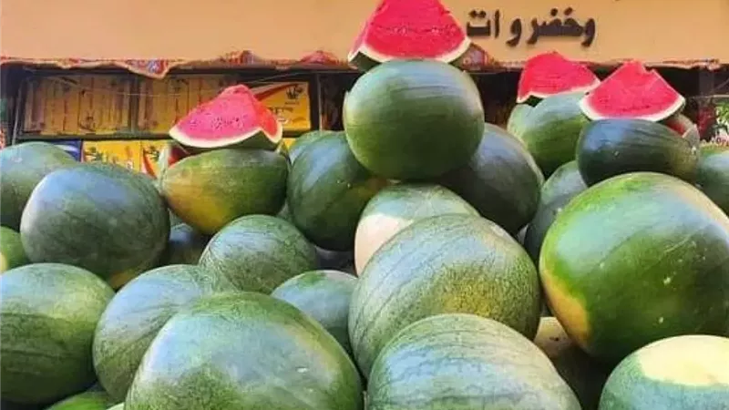 البحوث الزراعية: مصر تقترب من الاكتفاء الذاتي من البطيخ بنسبة 95%