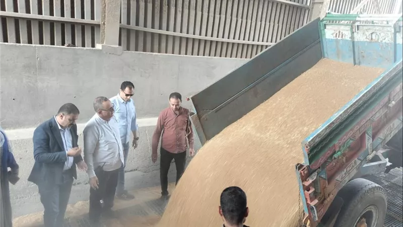 توريد 682 طن قمح محلي بالدقهلية.. الصوامع تستقبل “الذهب الأصفر” بكفاءة عالية