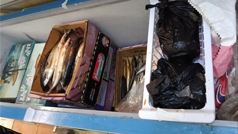 ضبط رنجة وفسيخ مجهولة المصدر داخل محال غير مرخصة بمحافظة الجيزة