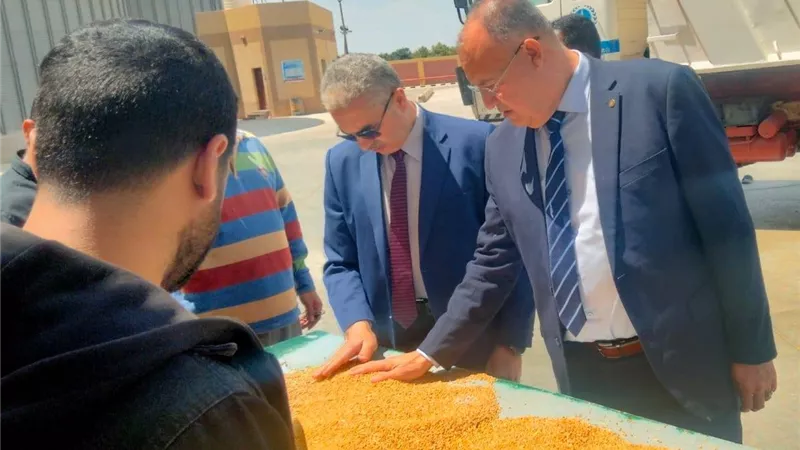 صومعة الصالحية الجديدة تستقبل 5730 طن قمح محلي وسط متابعة تموينية مكثفة