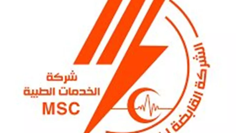 القابضة لكهرباء مصر تحذر من الصفحات الوهمية وتؤكد استمرار الخدمات الرقمية