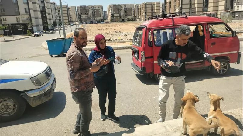 القاهرة الجديدة تخصص أرضًا لإنشاء مأوى للكلاب الضالة ضمن خطة للحفاظ على التوازن البيئي