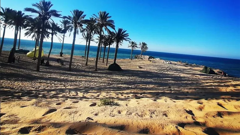شمال سيناء تشهد طفرة تنموية شاملة لترسيخ مكانتها كمركز استثماري وعمراني فريد