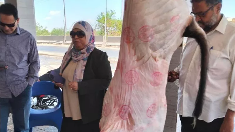 بتوجيهات علاء فاروق.. ضربة رقابية كبرى بالبحيرة لضبط 