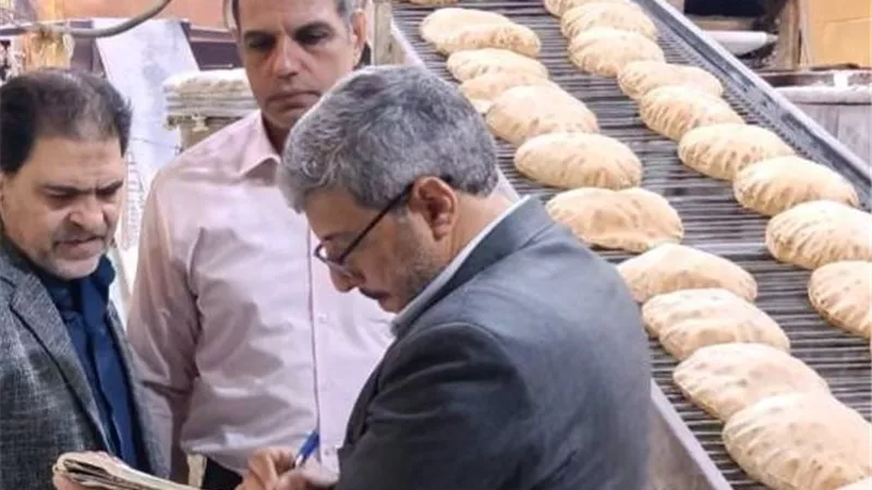 حملة تموينية مكبرة بالبحيرة لضبط الأسواق..تحرير مخالفات للمخابز ومتابعة الوقود وتخزين القمح