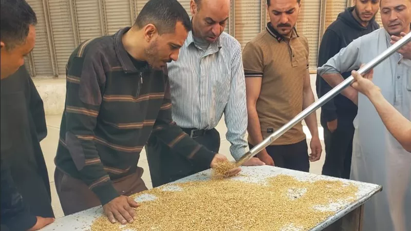 تموين الدقهلية: تحرير 165 مخالفة وتوريد1751 طن قمح محلي خلال 48 ساعة