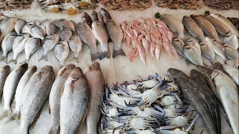 تراجع البلطي والسبيط وارتفاع السردين في سوق السمك اليوم بمصر