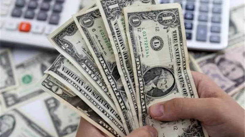 مصادر: البنوك المصرية تتوسع في الأوعية الدولارية قصيرة الأجل لتعزيز السيولة