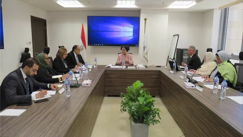 نائب وزير الصحة ترأس اجتماع اللجنة التيسيرية العليا لتنفيذ بروتوكول التعاون السكاني