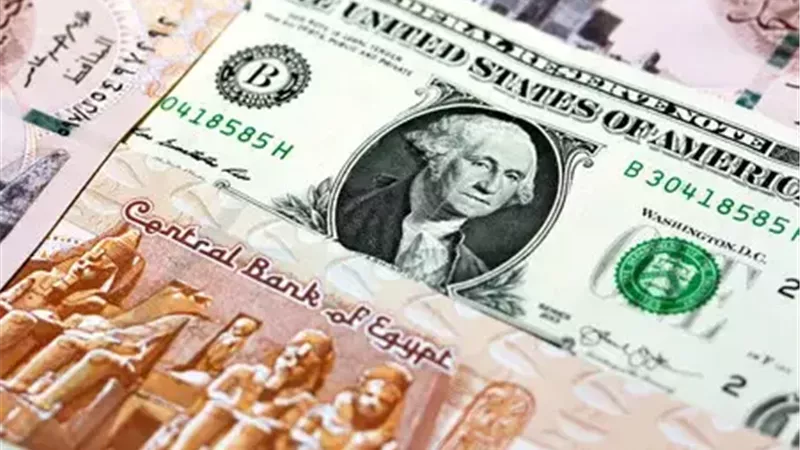 لماذا عاود سعر الدولار الارتفاع أمام الجنيه المصري مرة أخرى؟