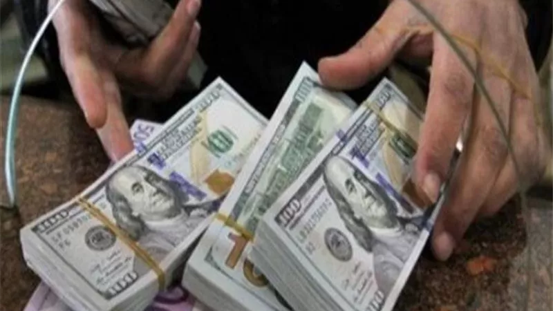 اعرف سعر الدولار في البنك المركزي المصري.. تحديث