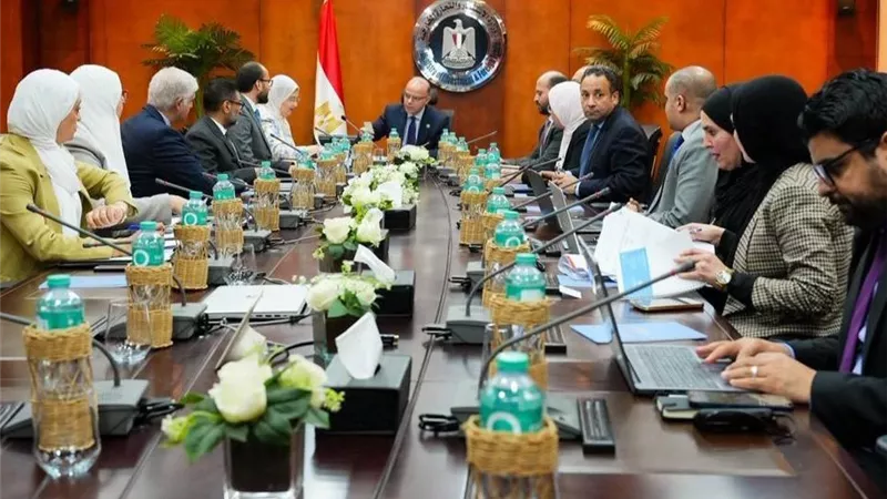 وزير الاستثمار يبحث مع منظمة الأمم المتحدة للتنمية الصناعية سبل تعزيز التنافسية وجذب الاستثمارات
