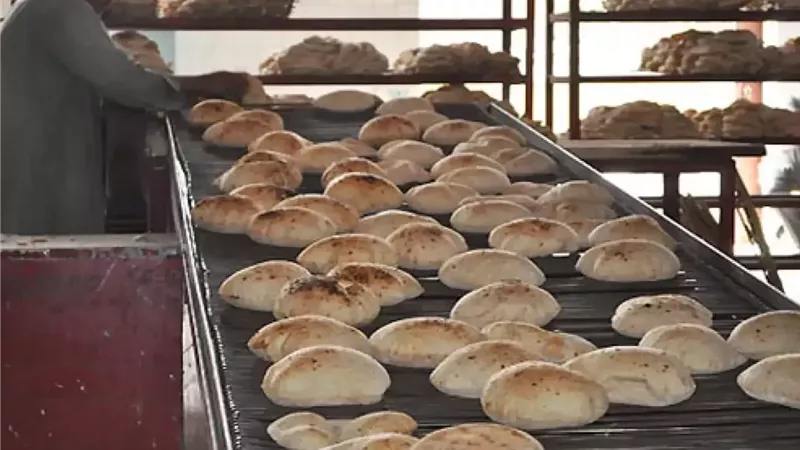 شعبة المخابز: لا مساس بتوافر الدقيق ورغيف الخبز للمواطنين خلال عيد الأضحى