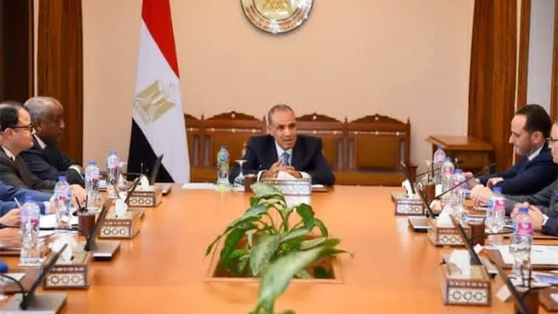 وزير الخارجية يقود تحركًا قويًا لدعم الشركات المصرية وتعزيز النفوذ الاقتصادي بأفريقيا