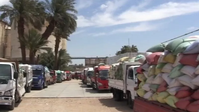 استبعاد 1443 طناً من القمح غير المطابق للمواصفات الفنية خلال لجان فحص سوهاج