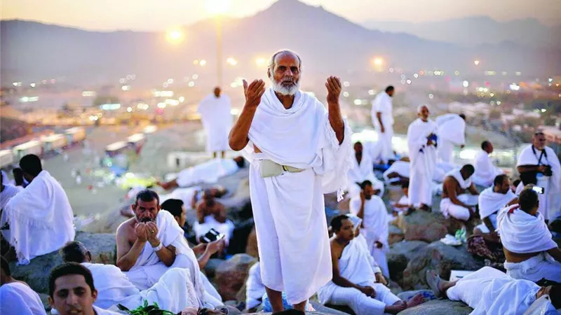 الإحصاء: 1.7 مليون حاج أدوا مناسك الحج 1447هـ / 2026.. والمنافذ الجوية تستحوذ على النصيب الأكبر