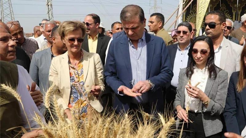 وزير الزراعة ومحافظ البحيرة يشهدان احتفالية ميكنة حصاد القمح بالمحافظة بحضور سفير الاتحاد الأوروبي