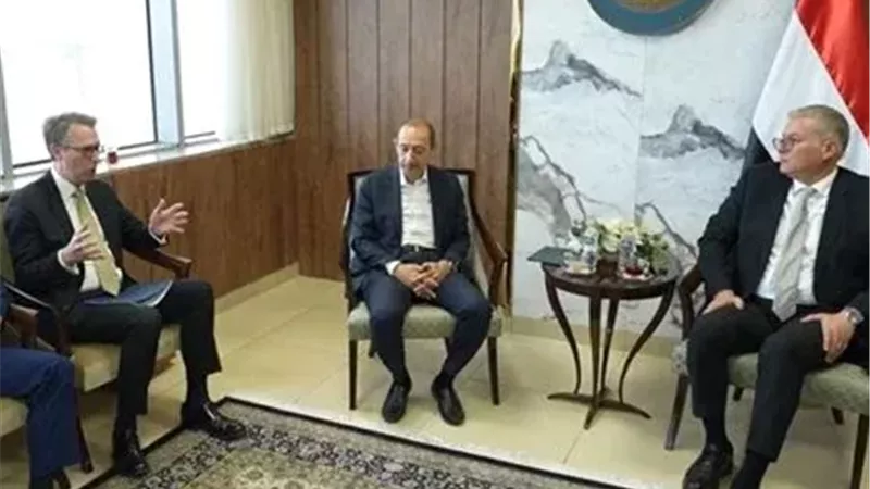 وزير البترول يبحث مع ماكنزي آند كومباني للاستشارات فرص التعاون في مشروعات القطاع