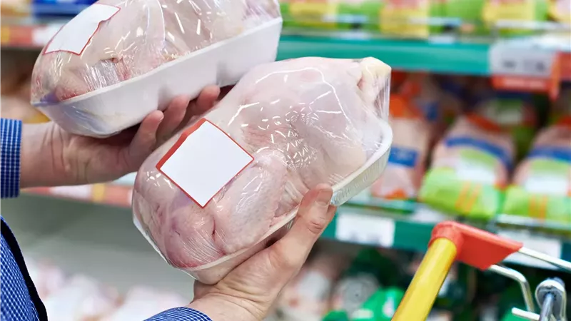 رئيس شعبة الدواجن يطالب بمنع بيع الفراخ الحية والتحول إلى المبردة