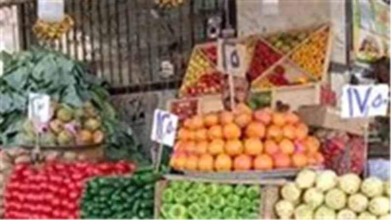 أسعار الخضروات اليوم الأربعاء 13 مايو 2026.. البطاطس بـ11 جنيها 