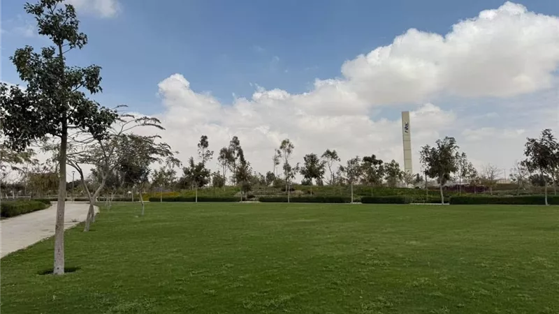 العاصمة الجديدة تستعد لافتتاح أجزاء جديدة من الحديقة المركزية قريبًا