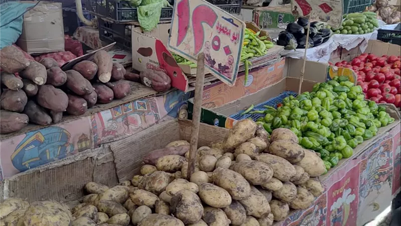 هشام عز العرب: 