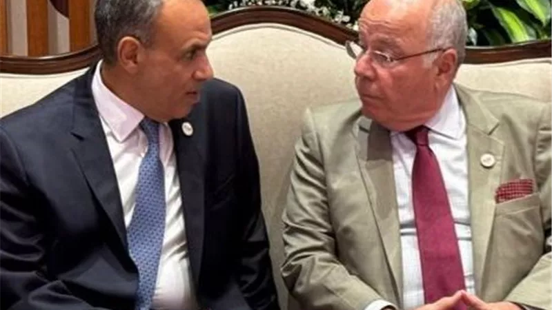 مصر والبرازيل تبحثان إنشاء مركز لوجستي عالمي لتخزين الغلال بقناة السويس