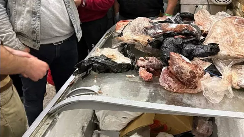 تموين بورسعيد يحرر 20 محضرًا ويضبط سلعًا غذائية مخالفة