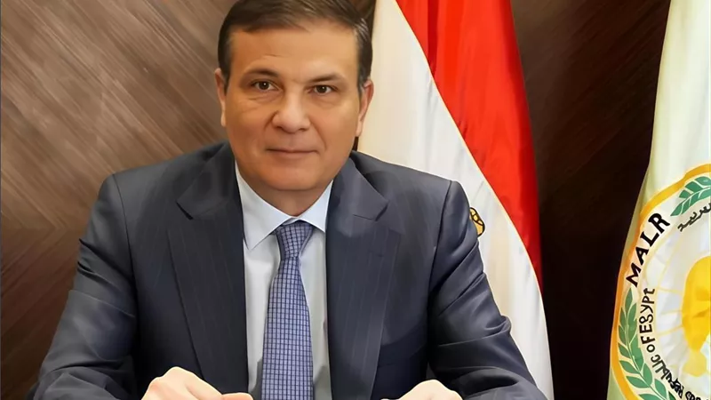 الزراعة: أكثر من 3.2 مليون طن في توريد القمح حتى الآن بنسبة 64% من المستهدف